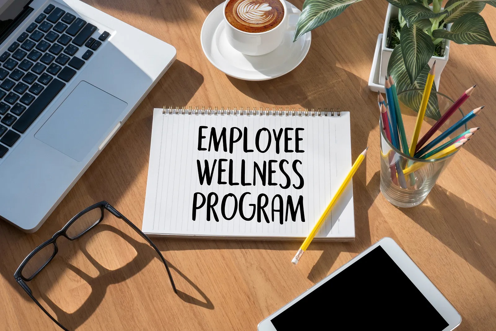 An Overview of Corporate Wellness Programs
